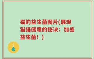 猫的益生菌图片(展现猫猫健康的秘诀：加善益生菌！)