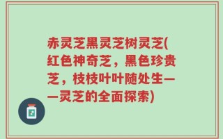 赤灵芝黑灵芝树灵芝(红色神奇芝，黑色珍贵芝，枝枝叶叶随处生——灵芝的全面探索)