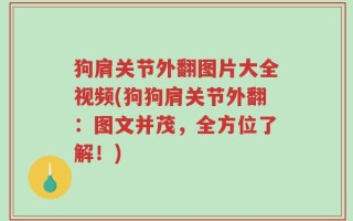 狗肩关节外翻图片大全视频(狗狗肩关节外翻：图文并茂，全方位了解！)