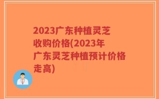 2023广东种植灵芝收购价格(2023年广东灵芝种植预计价格走高)