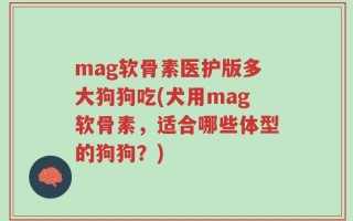 mag软骨素医护版多大狗狗吃(犬用mag软骨素，适合哪些体型的狗狗？)