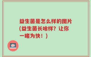 益生菌是怎么样的图片(益生菌长啥样？让你一睹为快！)