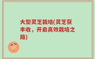 大型灵芝栽培(灵芝获丰收，开启高效栽培之路)