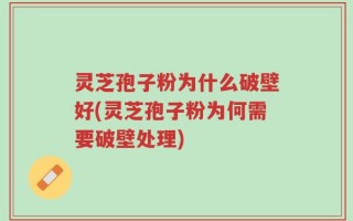 灵芝孢子粉为什么破壁好(灵芝孢子粉为何需要破壁处理)