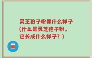 灵芝孢子粉像什么样子(什么是灵芝孢子粉，它长成什么样子？)