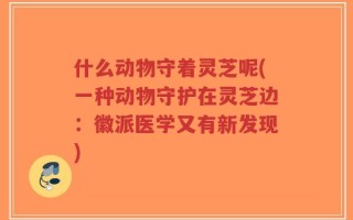 什么动物守着灵芝呢(一种动物守护在灵芝边：徽派医学又有新发现)