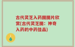 古代灵芝入药图图片欣赏(古代灵芝图：神奇入药的中药佳品)
