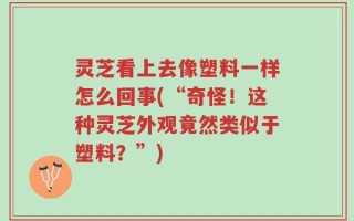 灵芝看上去像塑料一样怎么回事(“奇怪！这种灵芝外观竟然类似于塑料？”)