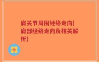 肩关节周围经络走向(肩部经络走向及相关解析)