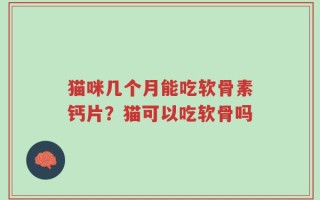 猫咪几个月能吃软骨素钙片？猫可以吃软骨吗