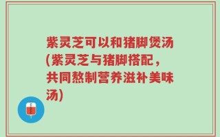 紫灵芝可以和猪脚煲汤(紫灵芝与猪脚搭配，共同熬制营养滋补美味汤)