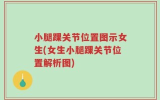 小腿踝关节位置图示女生(女生小腿踝关节位置解析图)