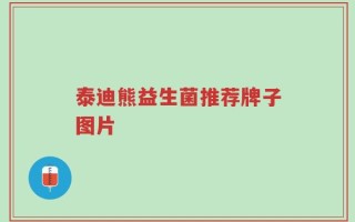 泰迪熊益生菌推荐牌子图片