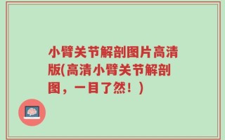 小臂关节解剖图片高清版(高清小臂关节解剖图，一目了然！)