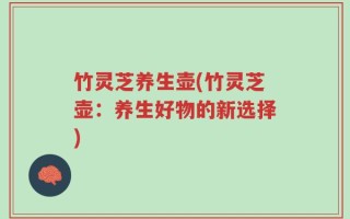竹灵芝养生壶(竹灵芝壶：养生好物的新选择)