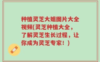 种植灵芝大姐图片大全视频(灵芝种植大全，了解灵芝生长过程，让你成为灵芝专家！)