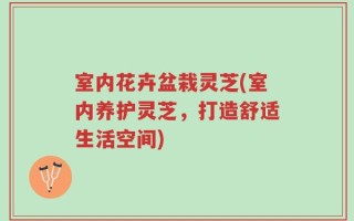 室内花卉盆栽灵芝(室内养护灵芝，打造舒适生活空间)