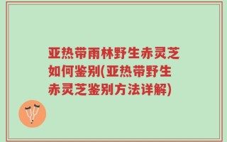 亚热带雨林野生赤灵芝如何鉴别(亚热带野生赤灵芝鉴别方法详解)
