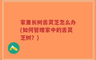 家里长树舌灵芝怎么办(如何管理家中的舌灵芝树？)