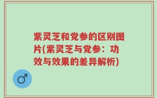 紫灵芝和党参的区别图片(紫灵芝与党参：功效与效果的差异解析)
