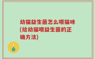 幼猫益生菌怎么喂猫咪(给幼猫喂益生菌的正确方法)