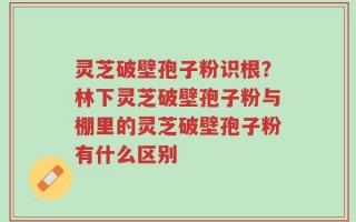 灵芝破壁孢子粉识根？林下灵芝破壁孢子粉与棚里的灵芝破壁孢子粉有什么区别