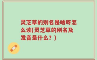 灵芝草的别名是啥呀怎么读(灵芝草的别名及发音是什么？)