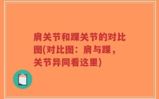 肩关节和踝关节的对比图(对比图：肩与踝，关节异同看这里)