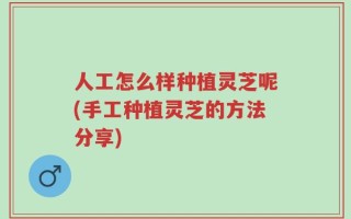 人工怎么样种植灵芝呢(手工种植灵芝的方法分享)