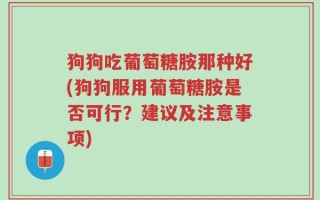 狗狗吃葡萄糖胺那种好(狗狗服用葡萄糖胺是否可行？建议及注意事项)