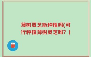 薄树灵芝能种植吗(可行种植薄树灵芝吗？)