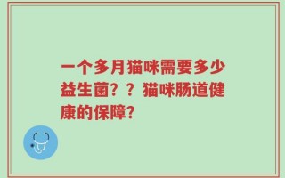 一个多月猫咪需要多少益生菌？？猫咪肠道健康的保障？
