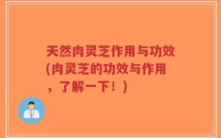 天然肉灵芝作用与功效(肉灵芝的功效与作用，了解一下！)
