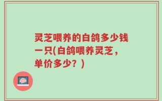 灵芝喂养的白鸽多少钱一只(白鸽喂养灵芝，单价多少？)