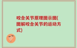 咬合关节原理图示图(图解咬合关节的运动方式)