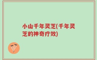 小山千年灵芝(千年灵芝的神奇疗效)