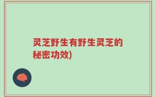 灵芝野生有野生灵芝的秘密功效)