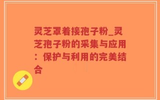 灵芝罩着接孢子粉_灵芝孢子粉的采集与应用：保护与利用的完美结合