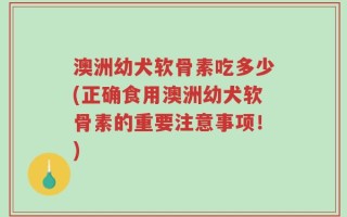 澳洲幼犬软骨素吃多少(正确食用澳洲幼犬软骨素的重要注意事项！)