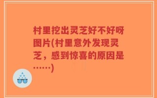 村里挖出灵芝好不好呀图片(村里意外发现灵芝，感到惊喜的原因是……)