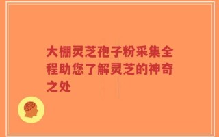大棚灵芝孢子粉采集全程助您了解灵芝的神奇之处
