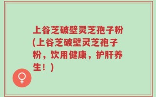 上谷芝破壁灵芝孢子粉(上谷芝破壁灵芝孢子粉，饮用健康，护肝养生！)