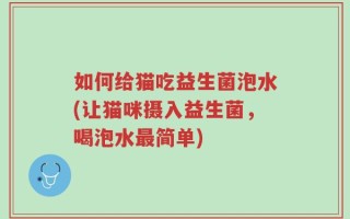 如何给猫吃益生菌泡水(让猫咪摄入益生菌，喝泡水最简单)