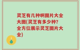 灵芝有几种啊图片大全大图(灵芝有多少种？全方位展示灵芝图片大全)