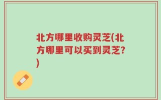 北方哪里收购灵芝(北方哪里可以买到灵芝？)