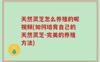 天然灵芝怎么养殖的呢视频(如何培育自己的天然灵芝-完美的养殖方法)