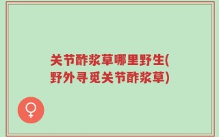 关节酢浆草哪里野生(野外寻觅关节酢浆草)