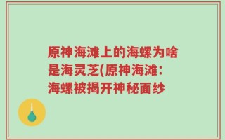 原神海滩上的海螺为啥是海灵芝(原神海滩：海螺被揭开神秘面纱