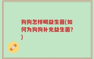 狗狗怎样喝益生菌(如何为狗狗补充益生菌？)