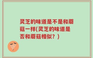 灵芝的味道是不是和蘑菇一样(灵芝的味道是否和蘑菇相似？)